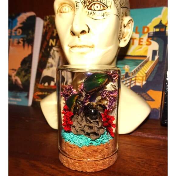 June Bug Bee Wasp Nest & Luna Moth Wing Oddity Dome curiosity taxidermy goth - Picture 8 of 13